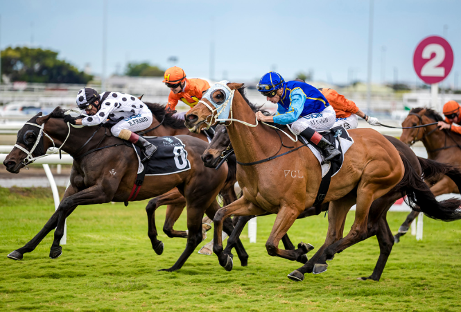 Live Racing | Brisbane Racing Club