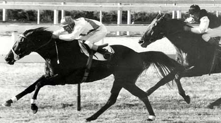 Doomben Racecourse History