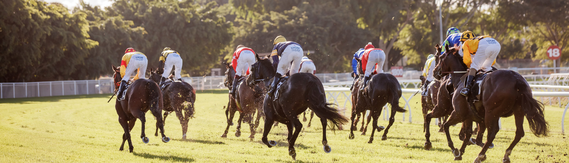 Brisbane Racing Club racing Image