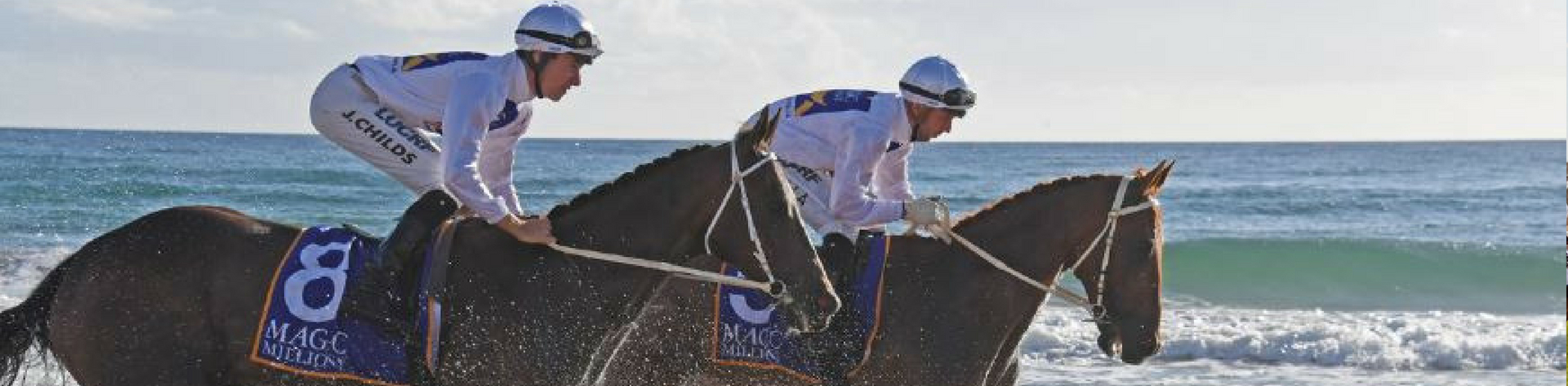 Magic Millions Image