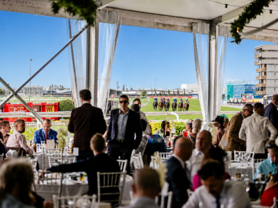 Grove Marquee_Blue Sky