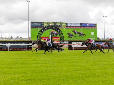 horses at eagle farm past the winning post